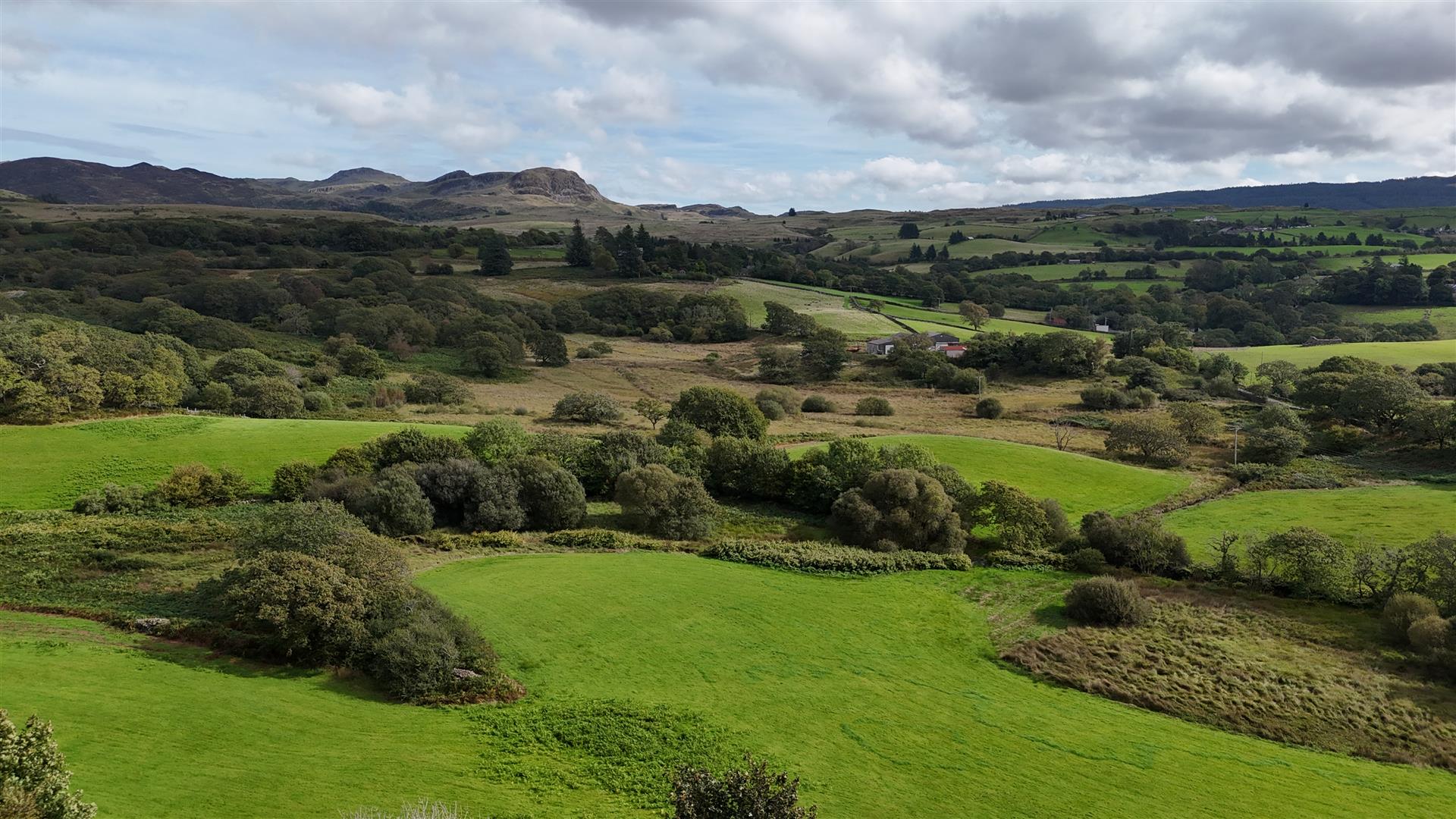 DJI_20260924141217_0039_D.JPG
